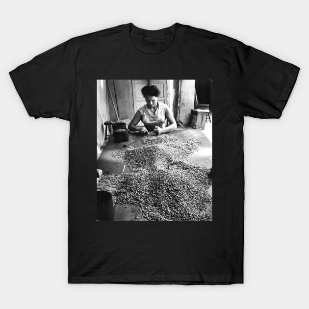 Vintage Photo of Woman Sorting Coffee T-Shirt by In Memory of Jerry Frank